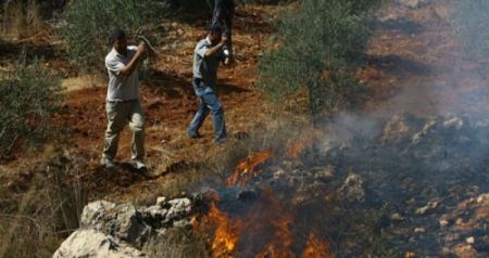 Israeli settlers set fire to Palestinian fields near Nablus